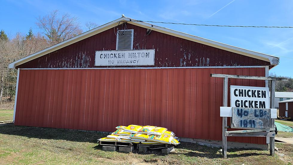 Cooped Up? Chicken Hilton A One Tank Trip Away From CNY
