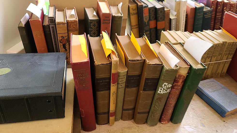 Treasures and Deals To be Found at CNY Weekend Book Sale
