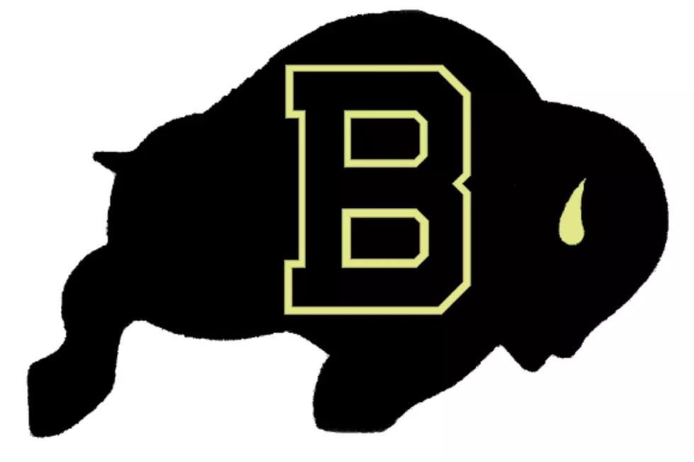 Buffalo Bison_lg