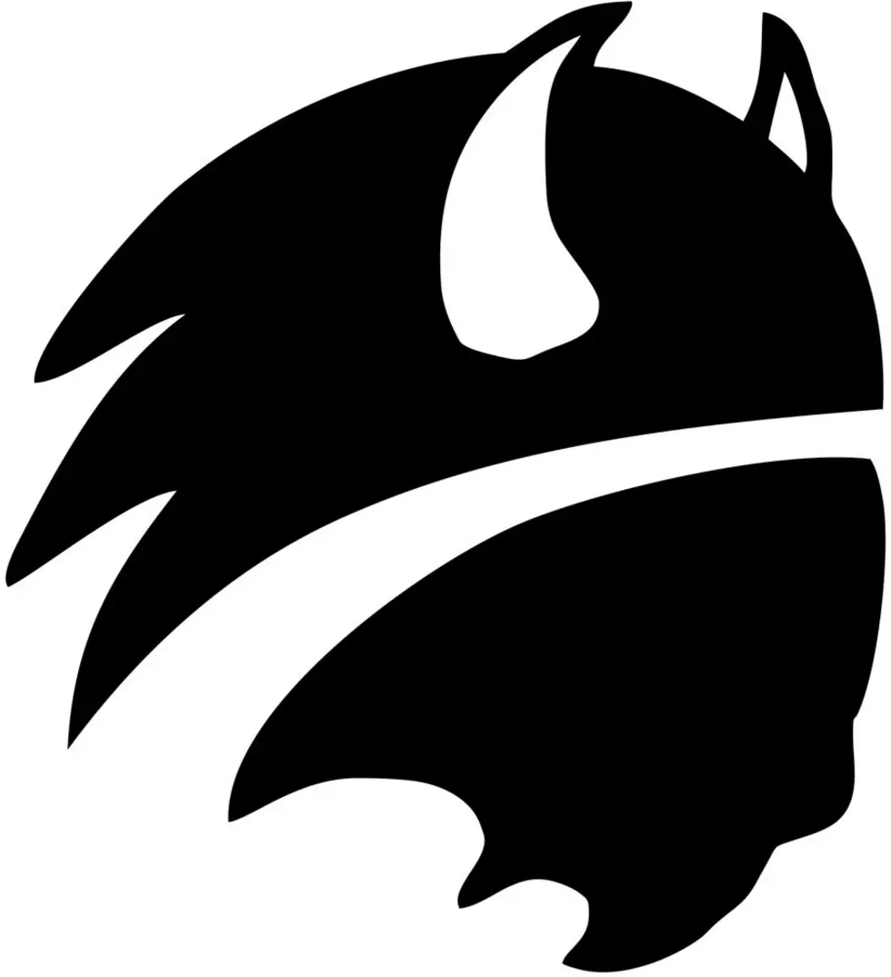 MtnViewBuffalo_lg