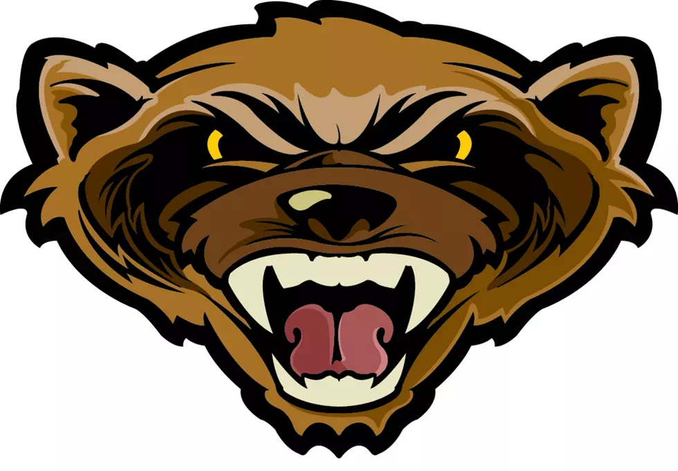 RivertonWolverine_lg