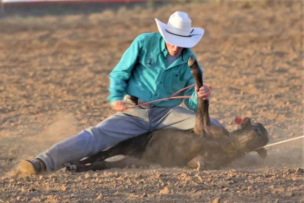 Rodeo Season Begins in Douglas