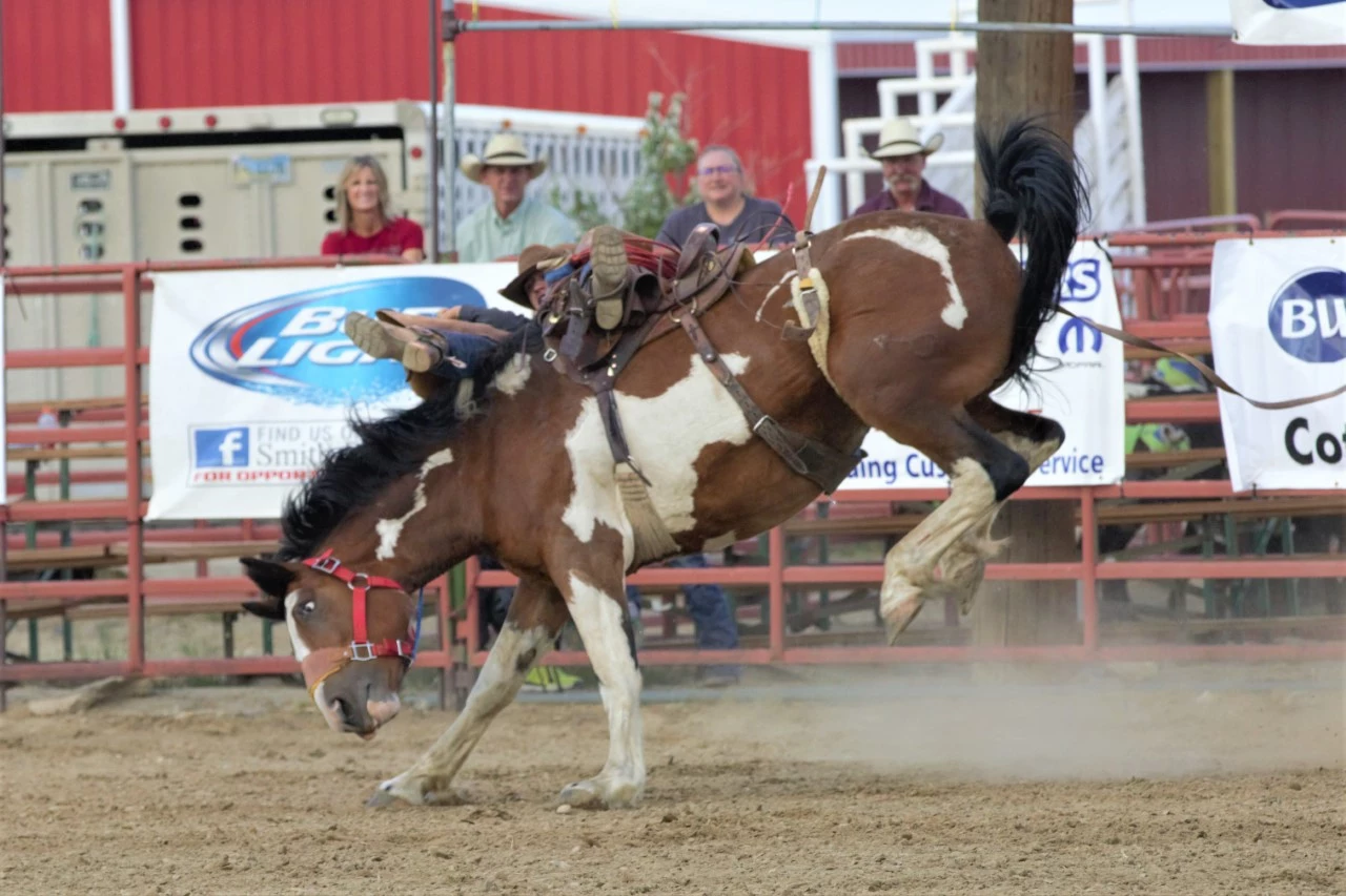 Rodeo Circuit Continues in Wheatland