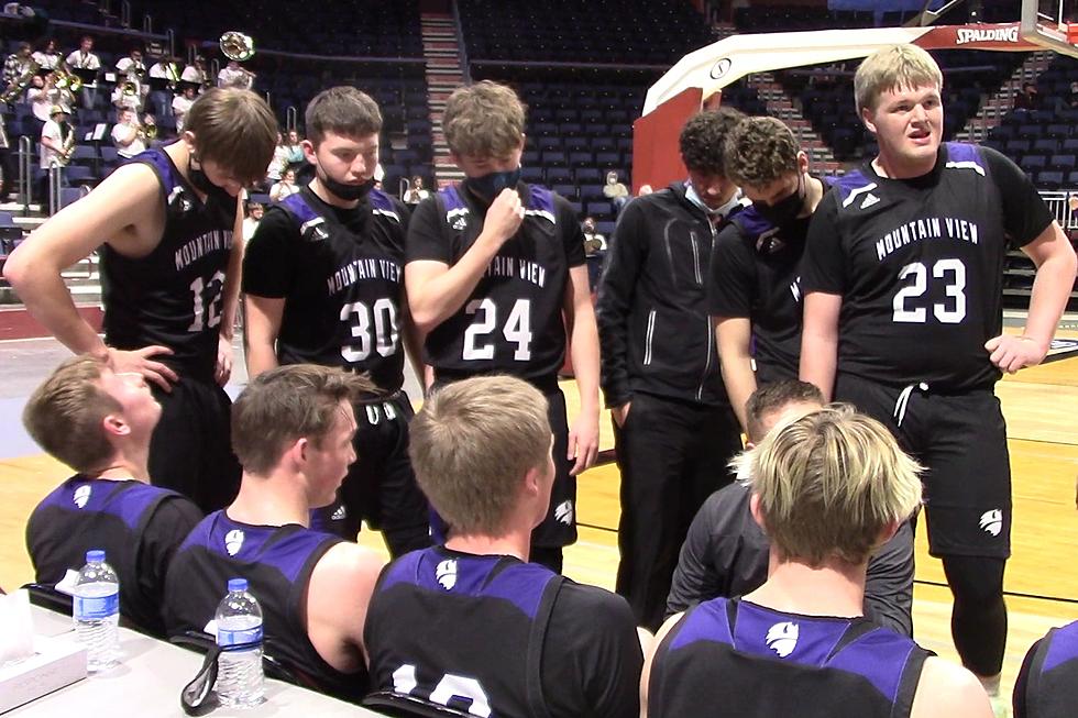 Mountain View Boys Basketball Takes Runner-Up Spot in 3A