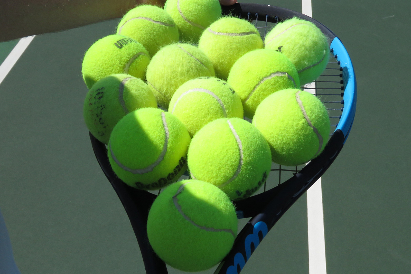 Separation Clip butterfly Overview Wyoming High School Tennis Scoreboard: Aug. 23-28, 2021