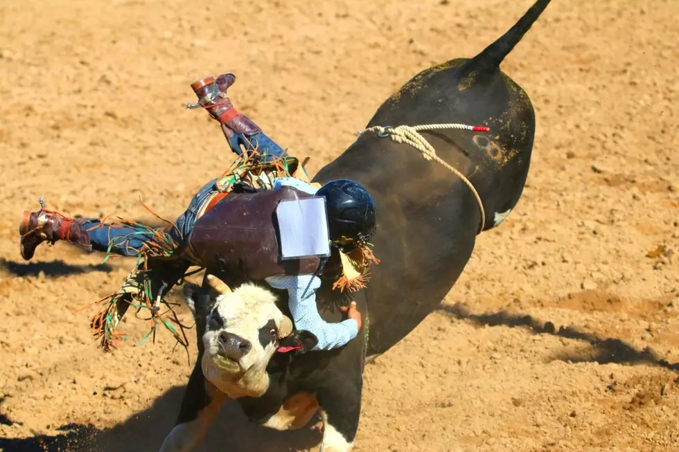 Fall Rodeo Season Concludes in Wheatland