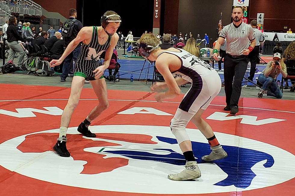 PhotoFest Rewind: State Boys Wrestling 3rd & 5th Place Matches