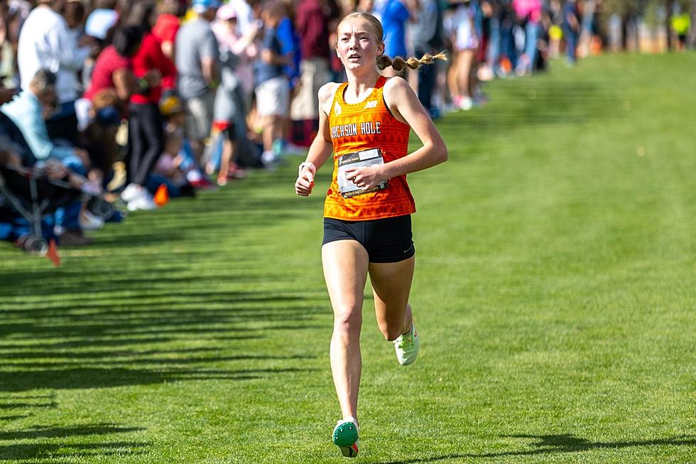 Pinedale’s Madison Antonino is the WyoPreps Athlete of the Year for Girls Cross Country in 2023-24 [VIDEO]