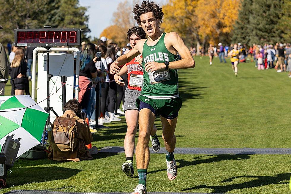 PhotoFest Review: State Cross Country