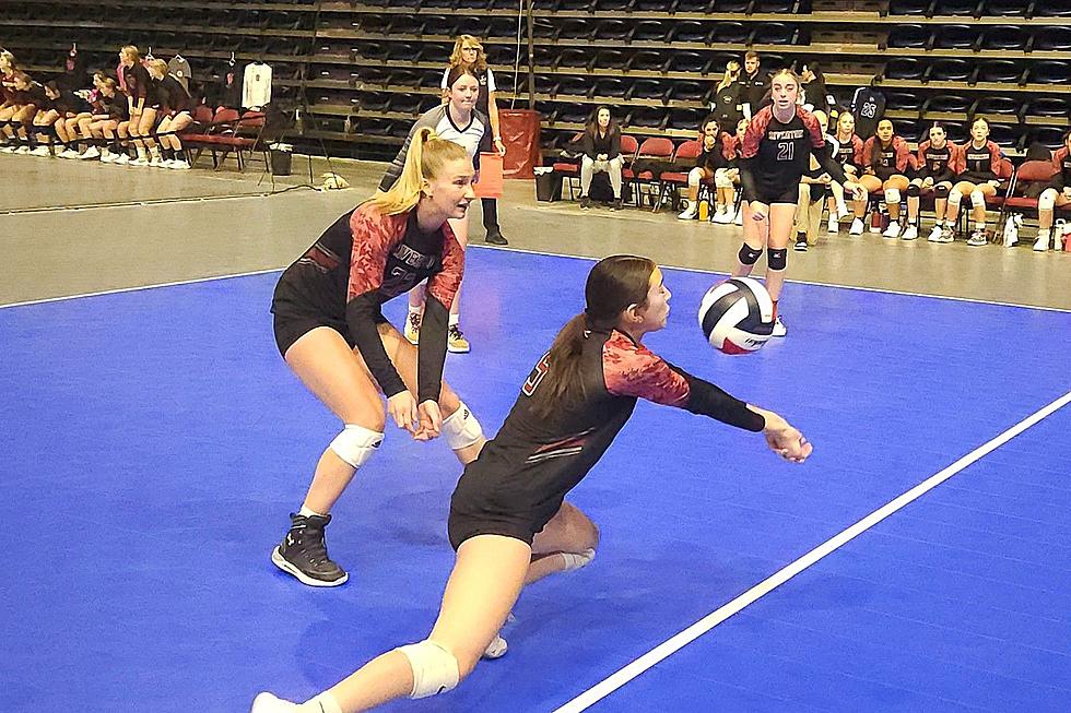 PhotoFest Review! State Volleyball