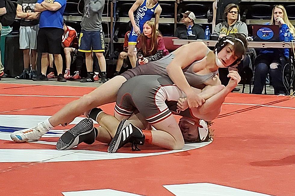 PhotoFest Review:  2023 State Wrestling