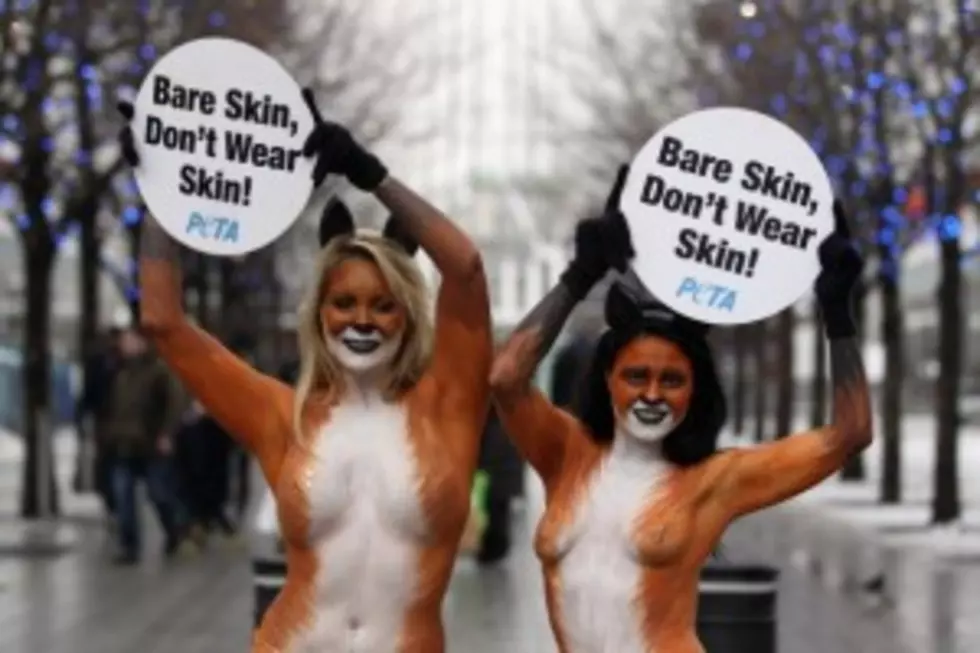 Does PETA Always Have To Be So Stupid? &#8211; What Hot Wings Thinks [AUDIO]