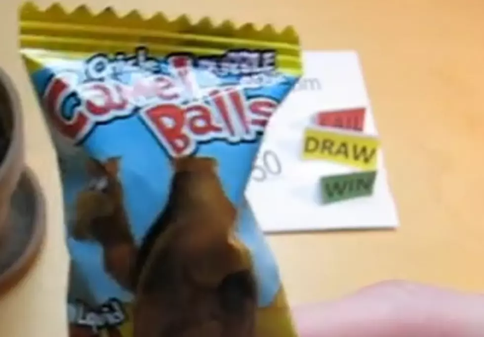 The Worst Candy Names Of All Time [FBHW]