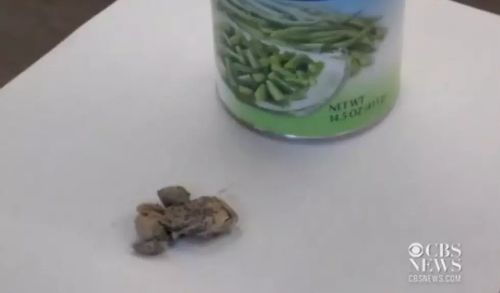 Woman Finds Toad In Can Of Green Beans &#8212; Doesn&#8217;t Appreciate The Free Gift [FBHW]