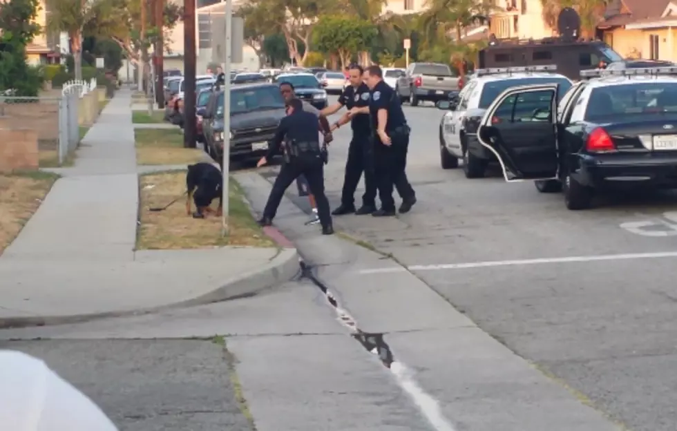 Hawthorne, CA Police Arrest Man For Filming Raid, The Shoot And Kill His Dog