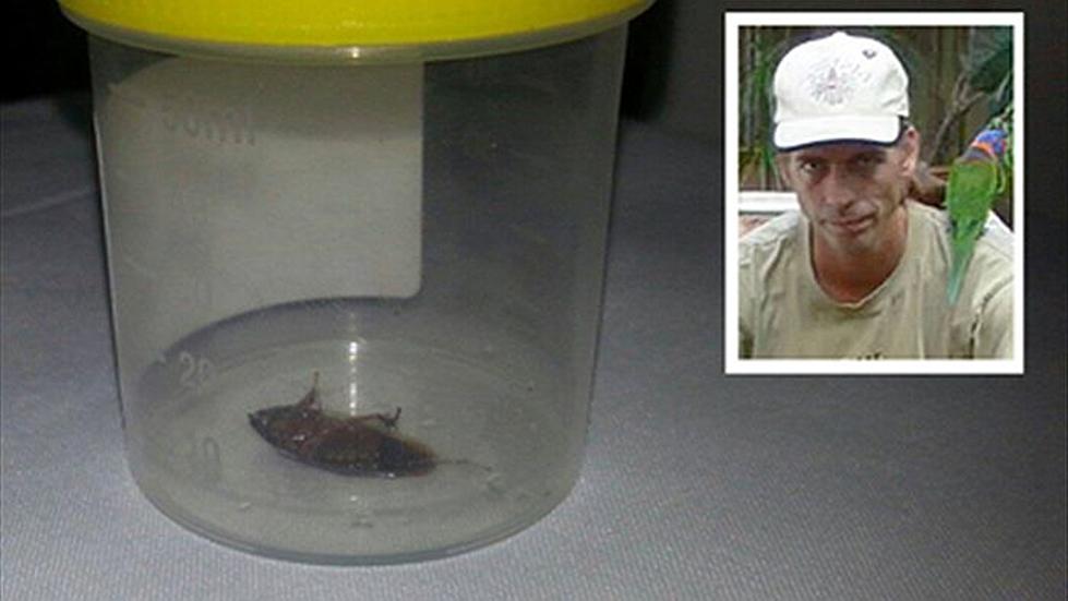 Free Beer & Hot Wings: Australian Man Has ¾-Inch Cockroach Removed from Ear [Video]