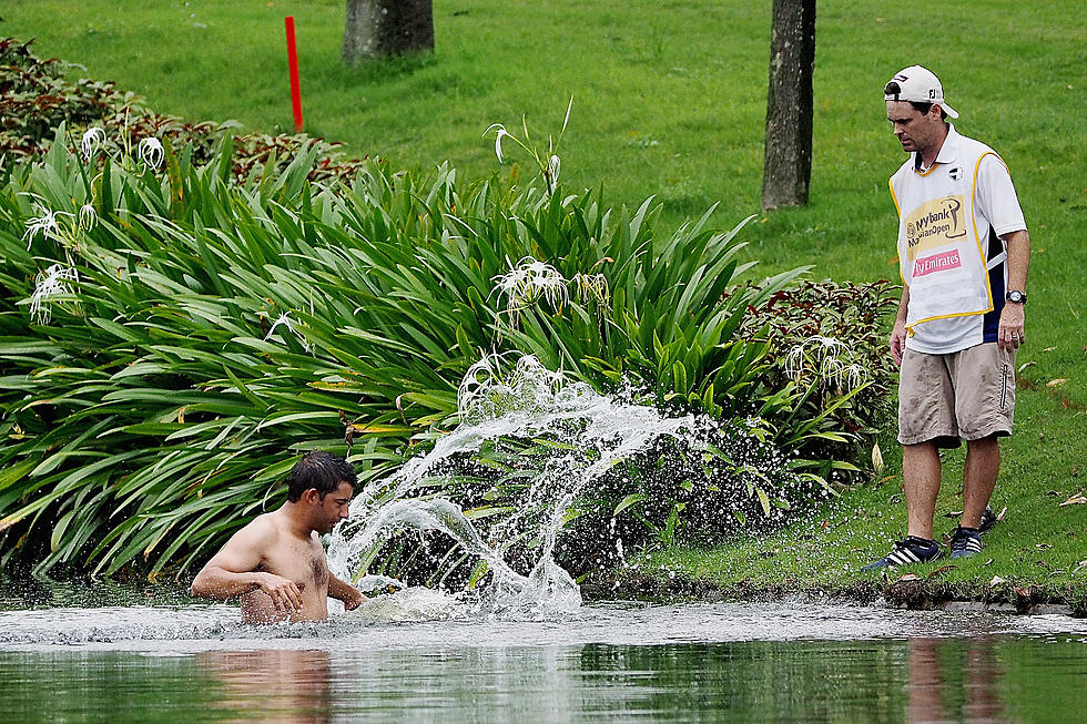 Free Beer & Hot Wings: Golfer Attacked by Hornets Jumps in Lake to Escape [Video]