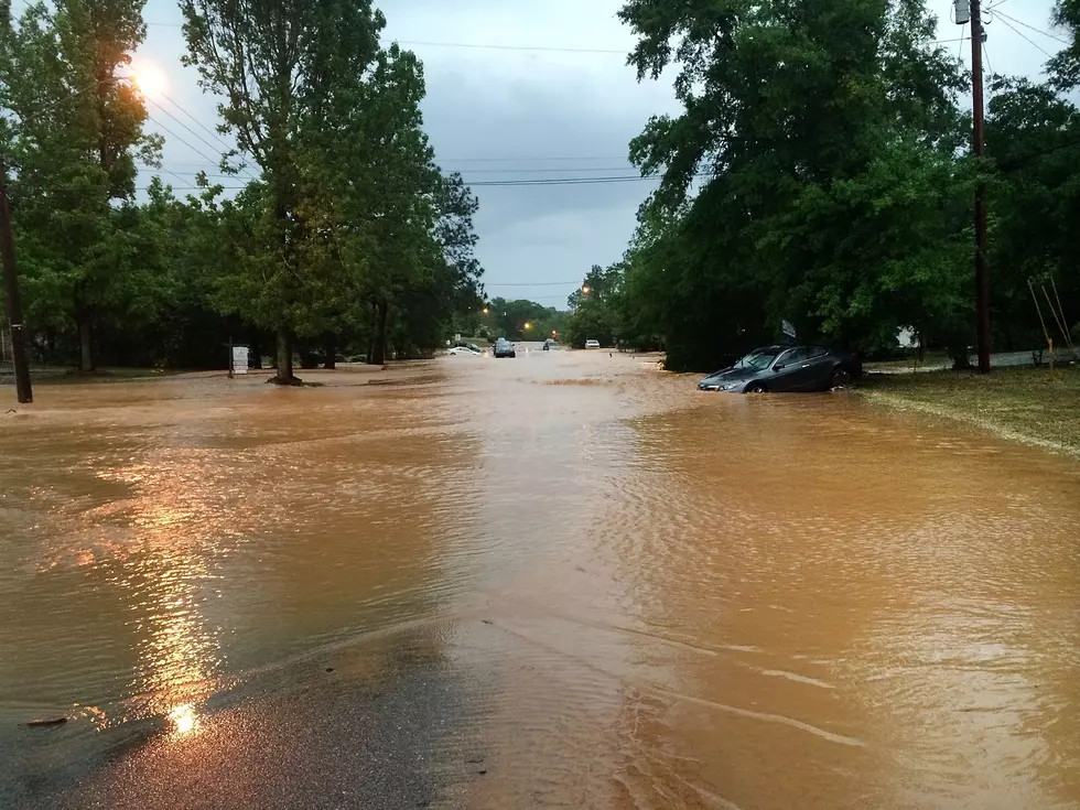 Guy’s Ridiculously Tall Bike Gets Him Through Florida Flooding [Video]