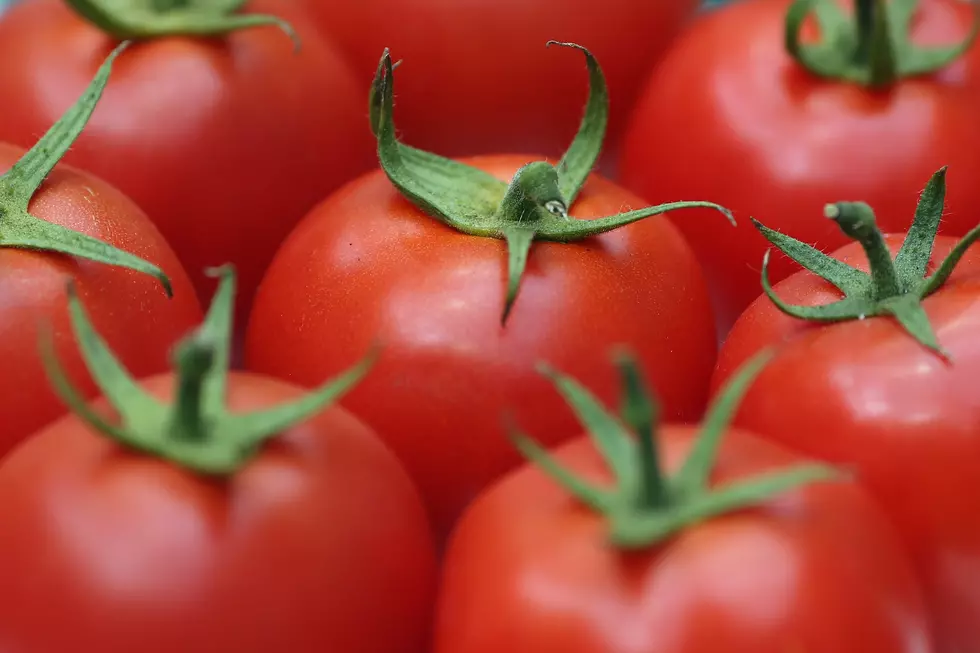 Free Beer & Hot Wings: Ford and Heinz Anticipate Cars Made from Tomatoes [Video]