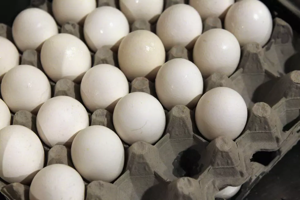 Free Beer & Hot Wings: What Happens When You Put 173 Eggs in a Microwave? [Video]