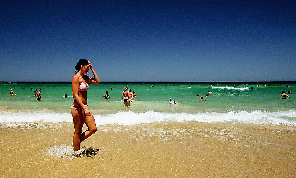 Free Beer & Hot Wings: Weird Green Balls Wash Up On Australia Beach [Video]