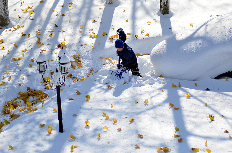 Free Beer & Hot Wings: Crazy Snow Wall Descends on Buffalo [Video]