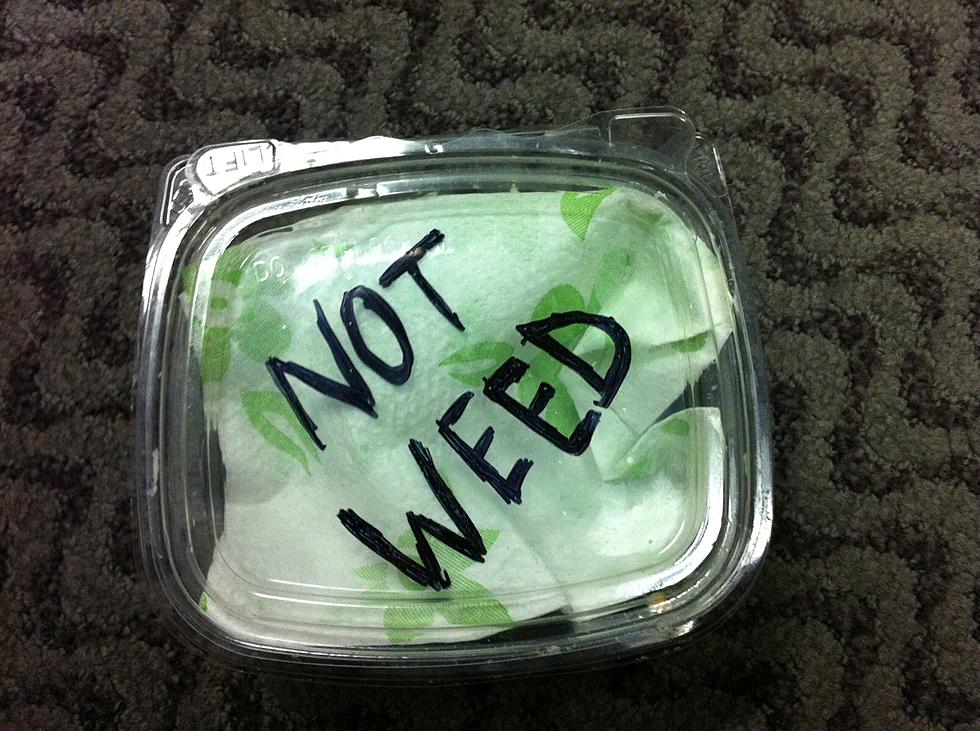 Guy Gets Busted for Carrying Weed in Container Labeled ‘Not Weed’