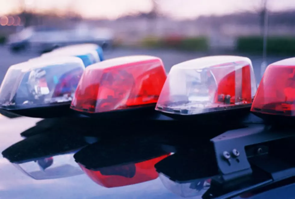 Ohio Police Officer Makes Woman Sit in Hot Car After Finding Her Dog Locked Inside it at Wal-mart