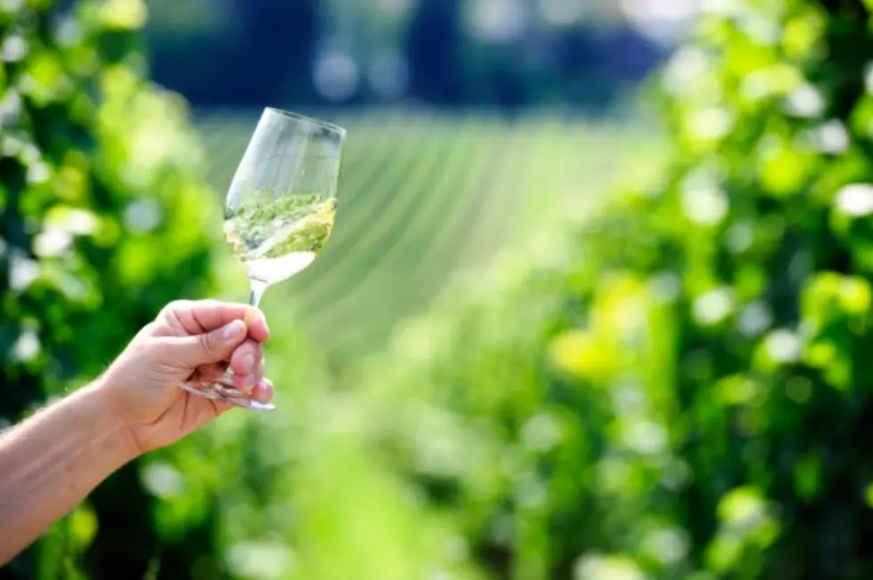 Happy National Drink Wine Day! Michigan Makes &#8216;Wine Region to Watch&#8217; List