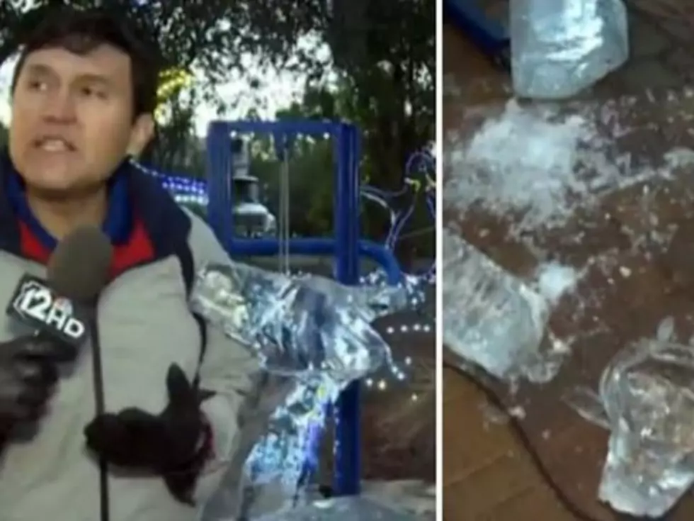 News Station Creates Fake Blooper In An Attempt To Go Viral [Video]