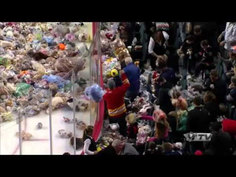 Watch Fans Throw Over 28,000 Teddy Bears On The Ice During A Hockey Game [Video]