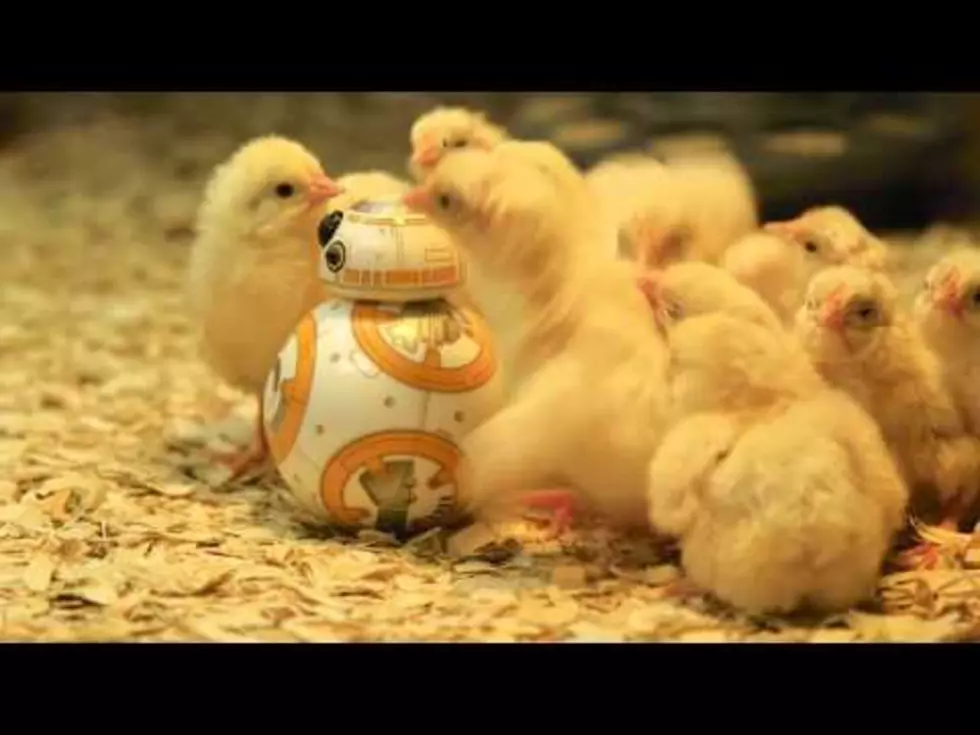 Even BB-8 Gets More Chicks Than You [Video]