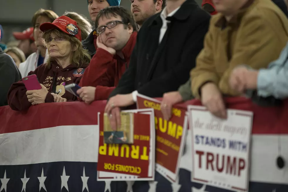 Republican Consultant Calls Trump Supporters &#8220;Childless, Single Men Who Masturbate to Anime&#8221; [Video]