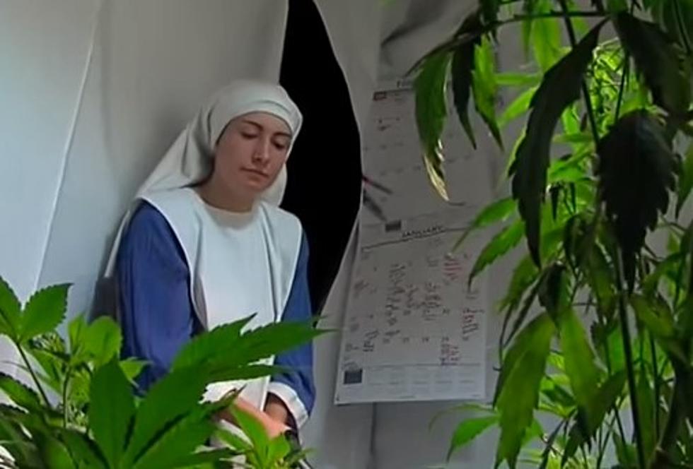 These ‘Nuns Are Illegally Growing And Selling Marijuana [Video]