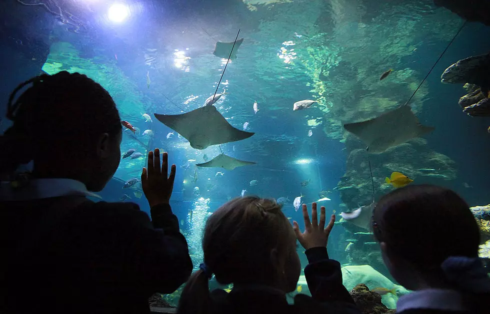 Grand Rapids’ Zoo School Named Among Top 14 Most Innovative Schools in U.S.