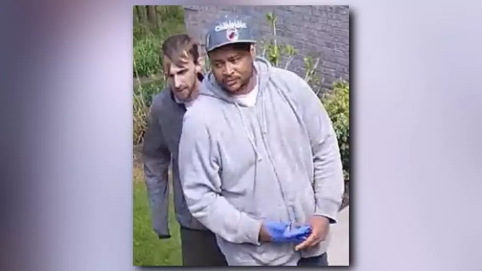 Police Looking For Two Men Who Broke Into Ottawa County Home