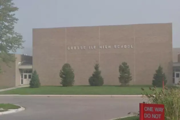 Michigan High School Lacrosse Players Face Charges in Guinea Pig Mutilation