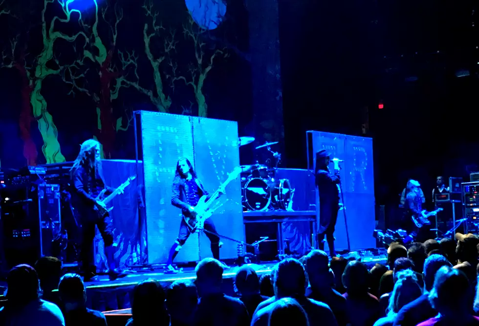 Avatar Brought the Swedish Carnival to Grand Rapids at the Van Andel