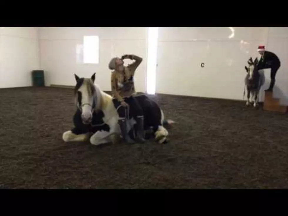Holland Horse Farm Takes on Mannequin Challenge [VIDEO]