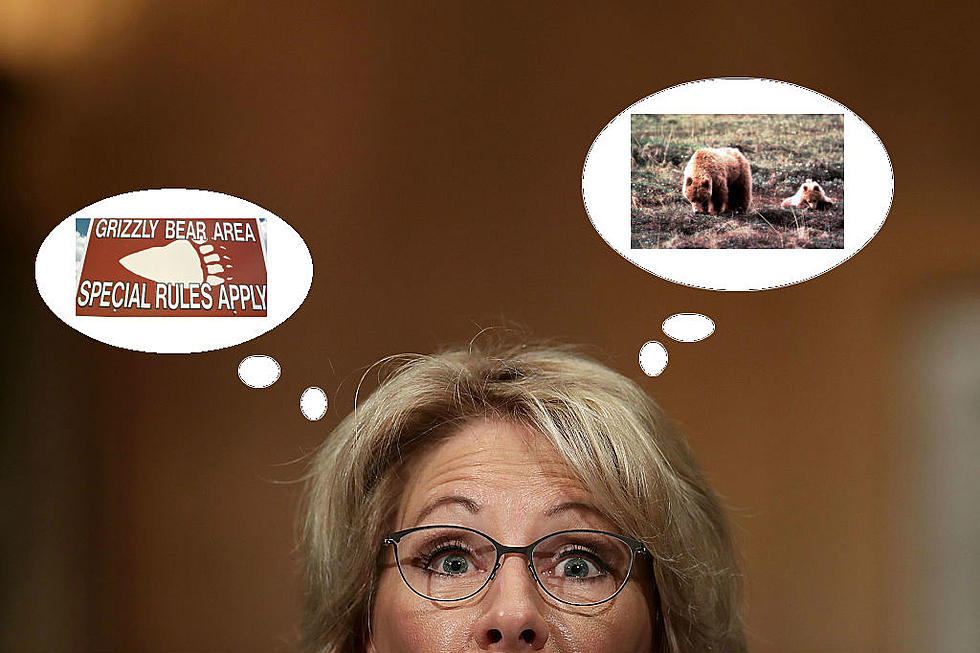 Michigan’s Betsy DeVos Says We Might Need Guns In Schools, Because Bears