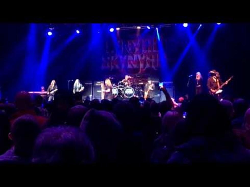 Lynyrd Skynyrd Rocked Grand Rapids Live Friday Night