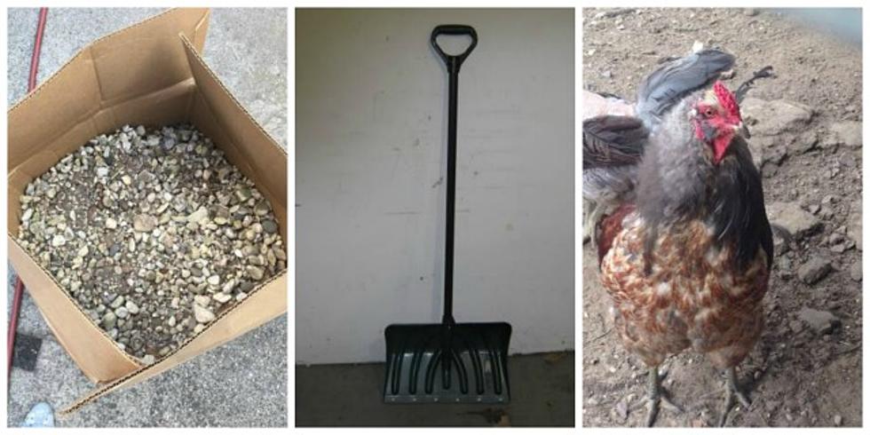 5 Weird, Random Things Currently Being Given Away on Grand Rapids’ Craigslist