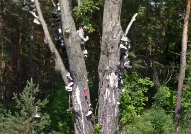 What is the Deal With the Kalkaska &#8216;Shoe Tree&#8217;?