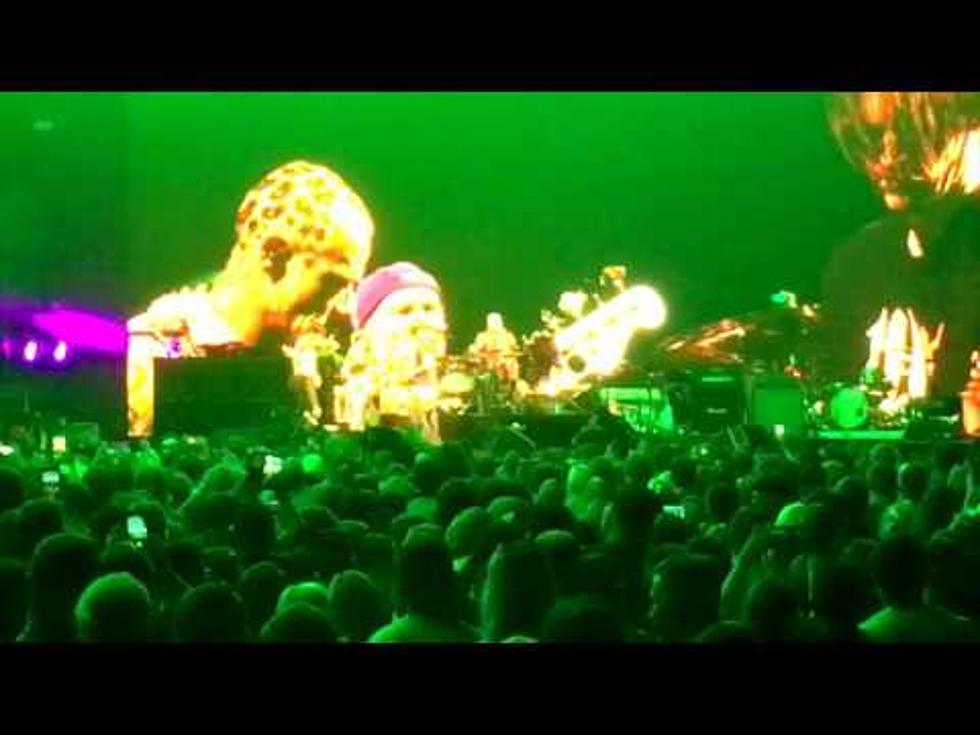RHCP Live in GR Video