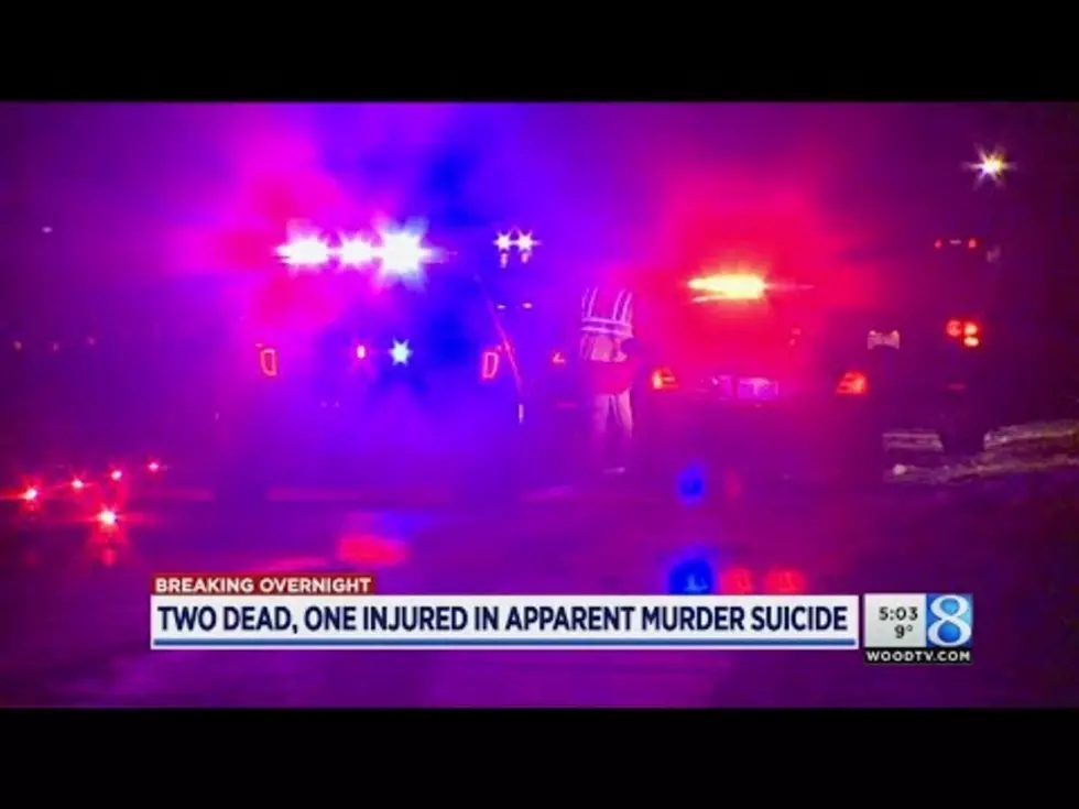 Attempted Murder-Suicide Closes I-96 Near Lowell [VIDEO]