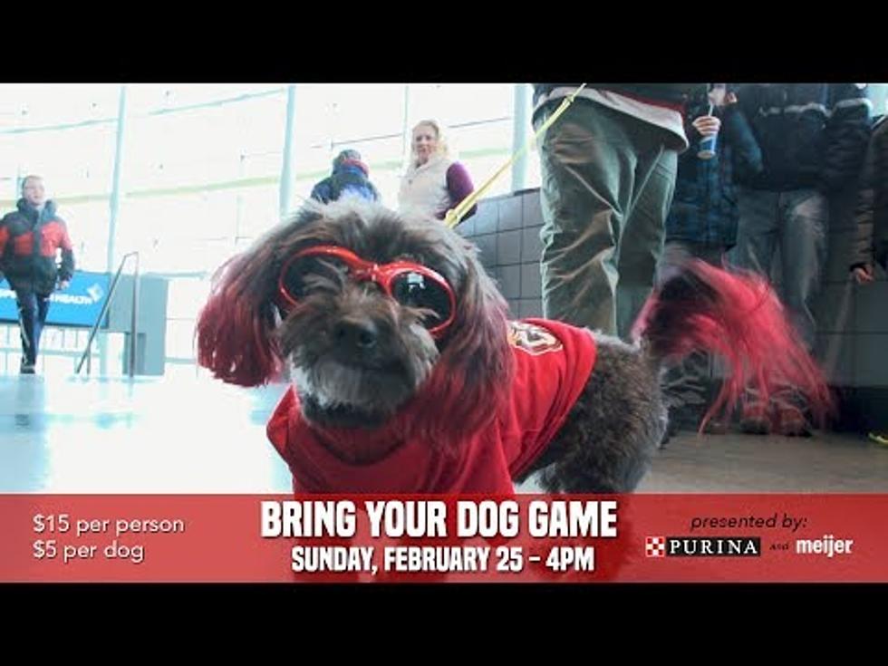 Griffins’ ‘Bring Your Dog Game’ Is Sunday at Van Andel Arena