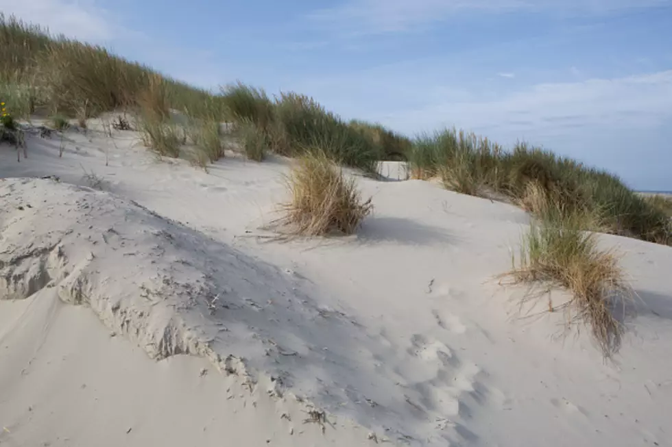 Michigan Boy Scout Dies After Being Buried By Sand Dune