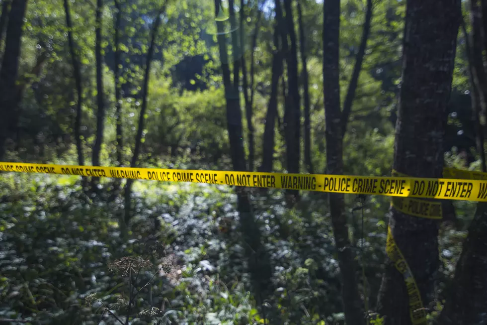 Skeletal Remains Found in Northwest Kent County