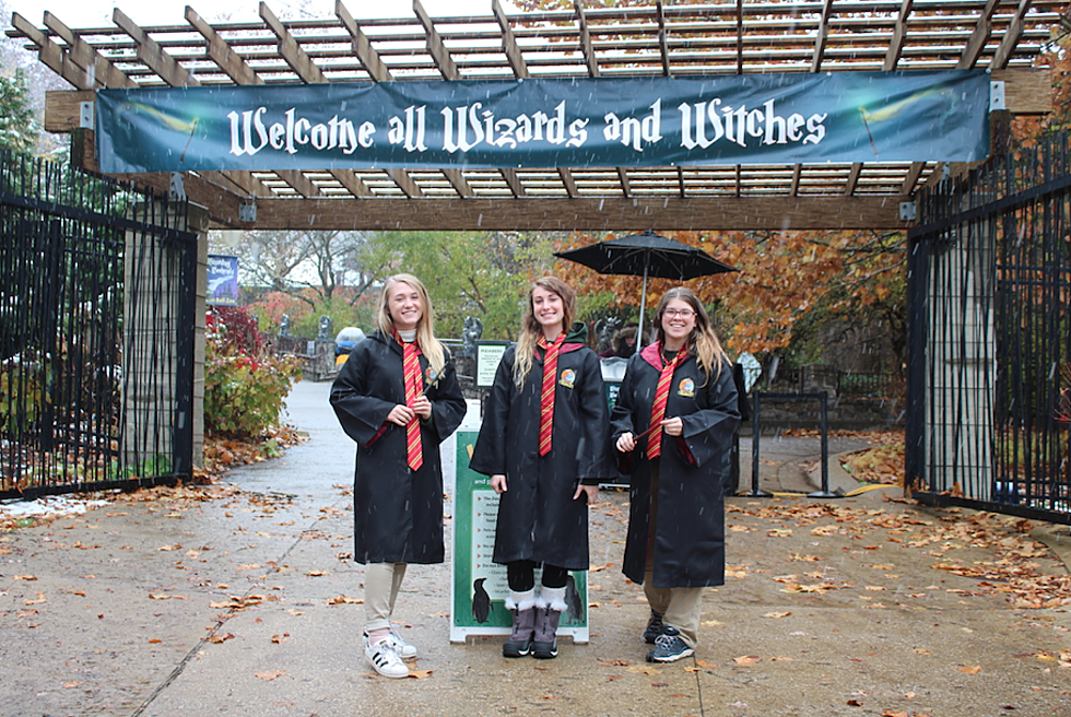 Wizarding Weekends Coming to John Ball Zoo