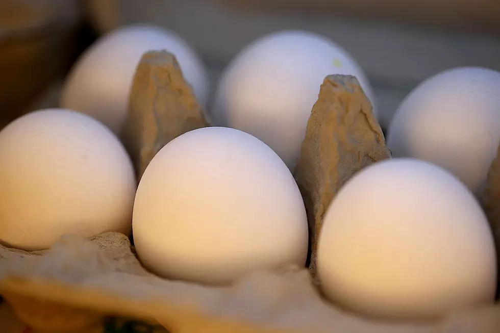All Eggs Sold in Michigan Will Be Cage-Free by Dec. 2024